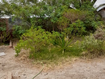 Imagen 22