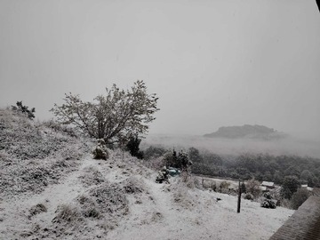 Imagen 21