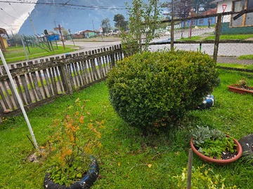 Imagen 12