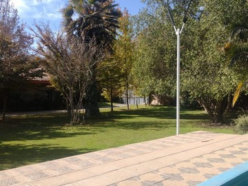 Imagen 6