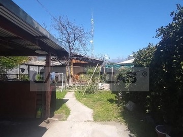 Imagen 5