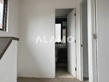 Imagen 11