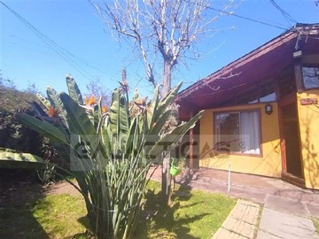 Imagen 9