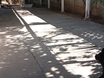 Venta / Casa / Buin
