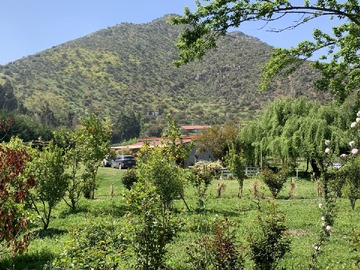 Imagen 36