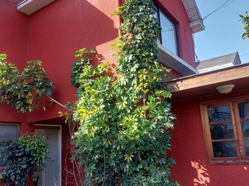 Venta / Casa / Buin