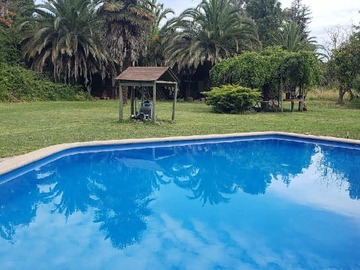 Imagen 7