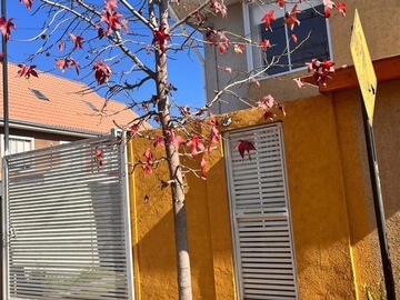 Imagen 27