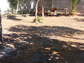Imagen 7