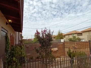 Imagen 5