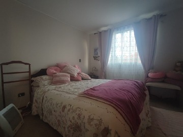 Imagen 13