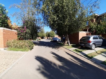 Imagen 23