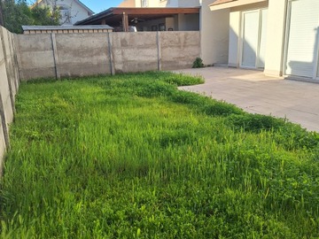 Imagen 28