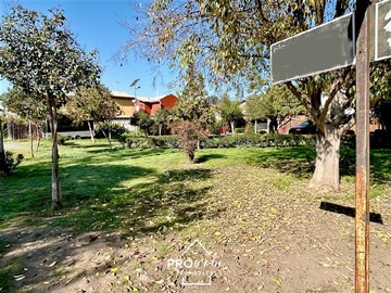 Imagen 21
