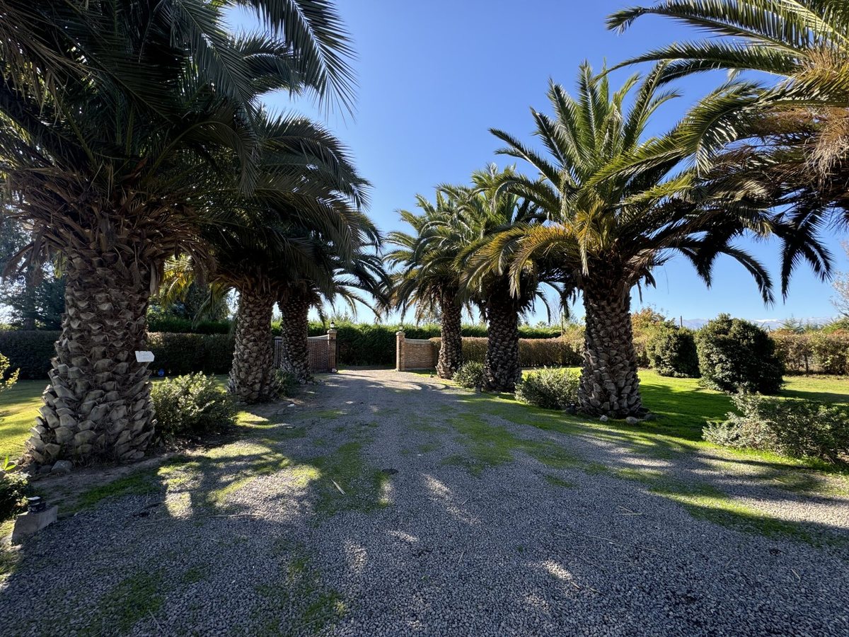 Jardín