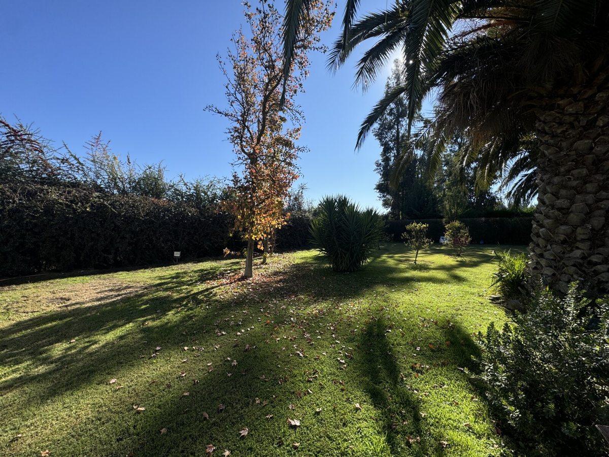 Jardín