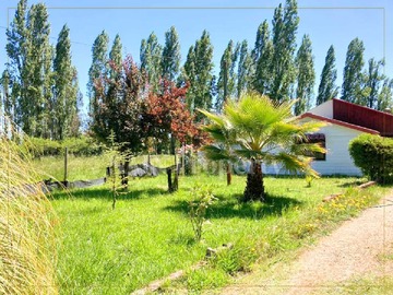 Imagen 13