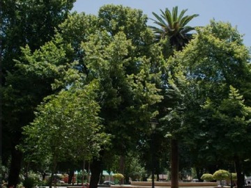 Imagen 10