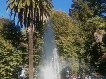 Imagen 8