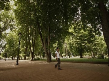 Imagen 12