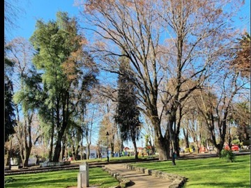 Imagen 11