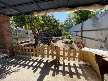 Imagen 27