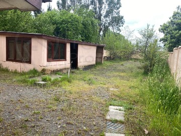 BODEGAS