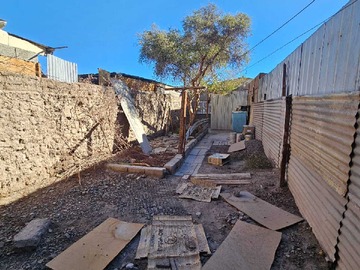 Imagen 10