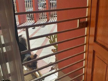 Imagen 9