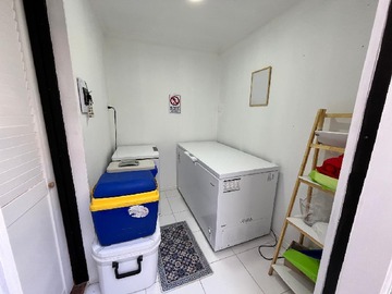 Imagen 15