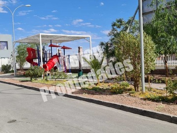 Imagen 6
