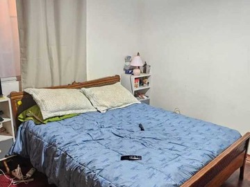 Imagen 5