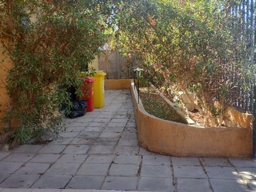 Imagen 6