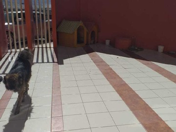 Imagen 4