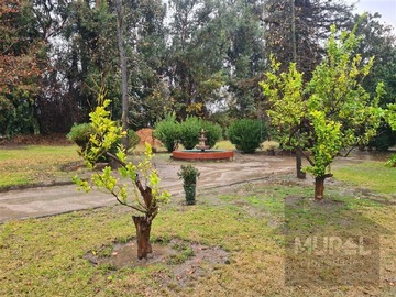 Imagen 16