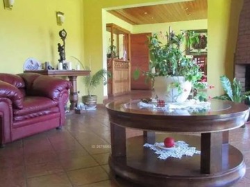Imagen 6
