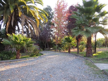 Imagen 10