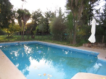Imagen 12