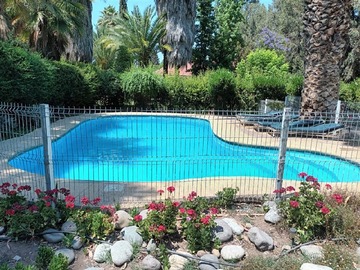 Imagen 6