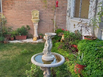 Imagen 4