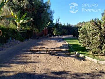 Imagen 31