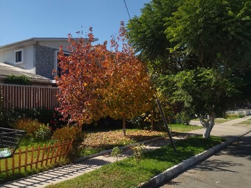 Venta / Casa / Calera de Tango