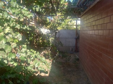 Imagen 6