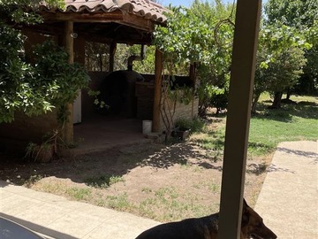 Imagen 12