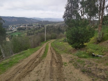 Imagen 17