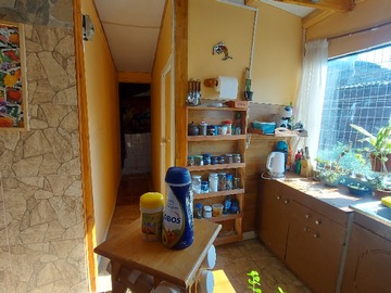 Imagen 5