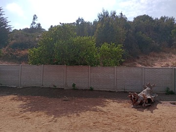 Imagen 5