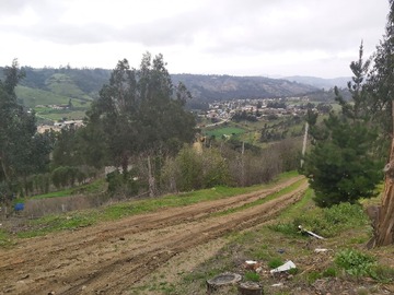 Imagen 16