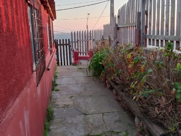 Imagen 5