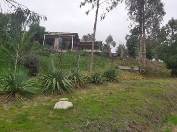 Imagen 4